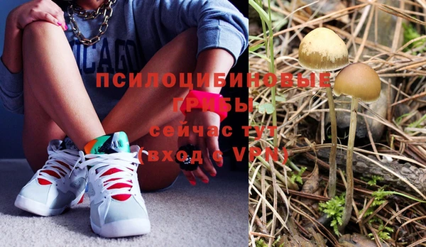 амф Балахна