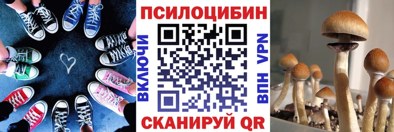 купить закладку  Шимановск  Галлюциногенные грибы прущие грибы 